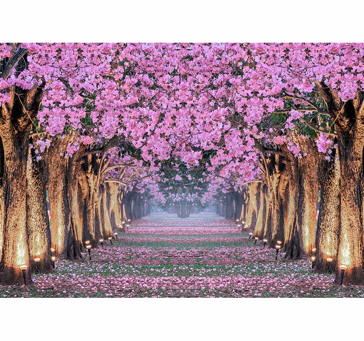 Tapisserie fleur sentier de fleurs de cerisier - TenStickers