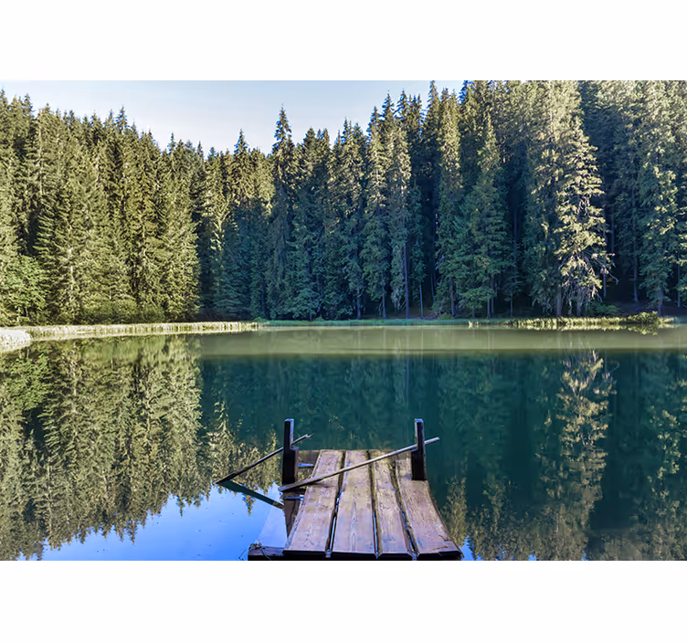 Tapisserie nature reflet paisible en forêt - TenStickers