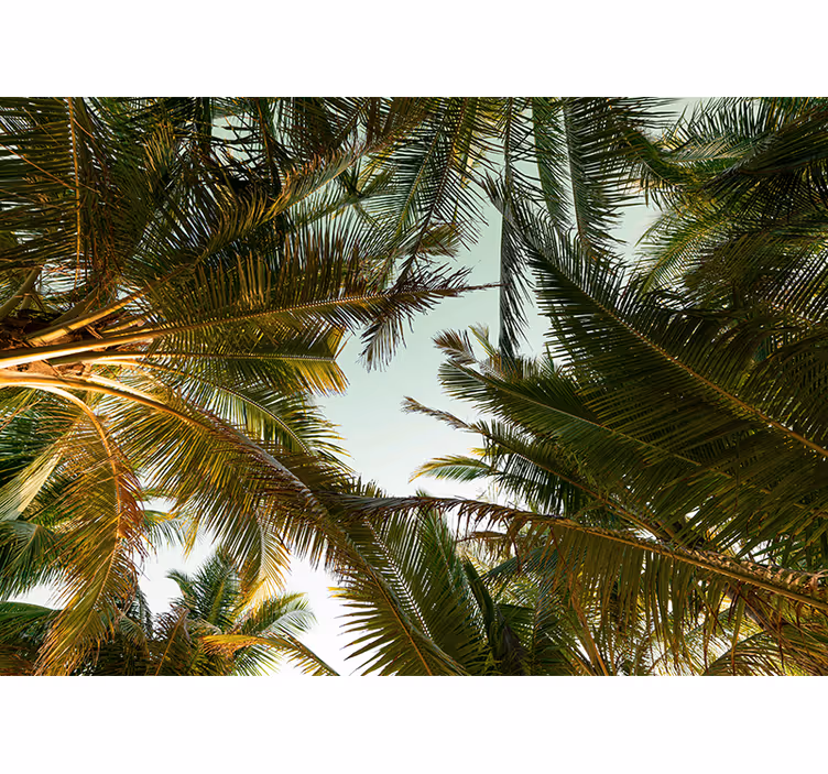 Tapisserie nature canopée de palmiers tropicaux - TenStickers