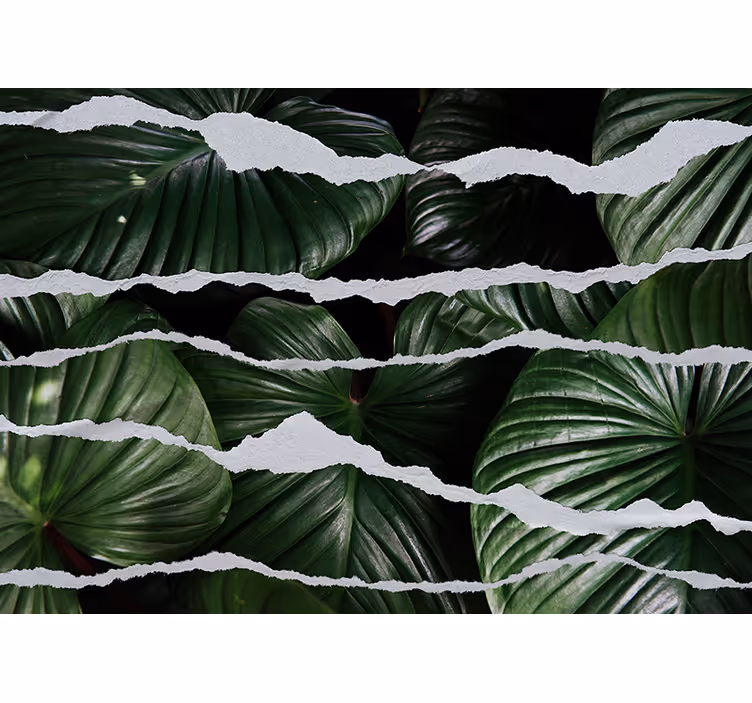 Papiers peints nature design de feuilles luxuriantes - TenStickers