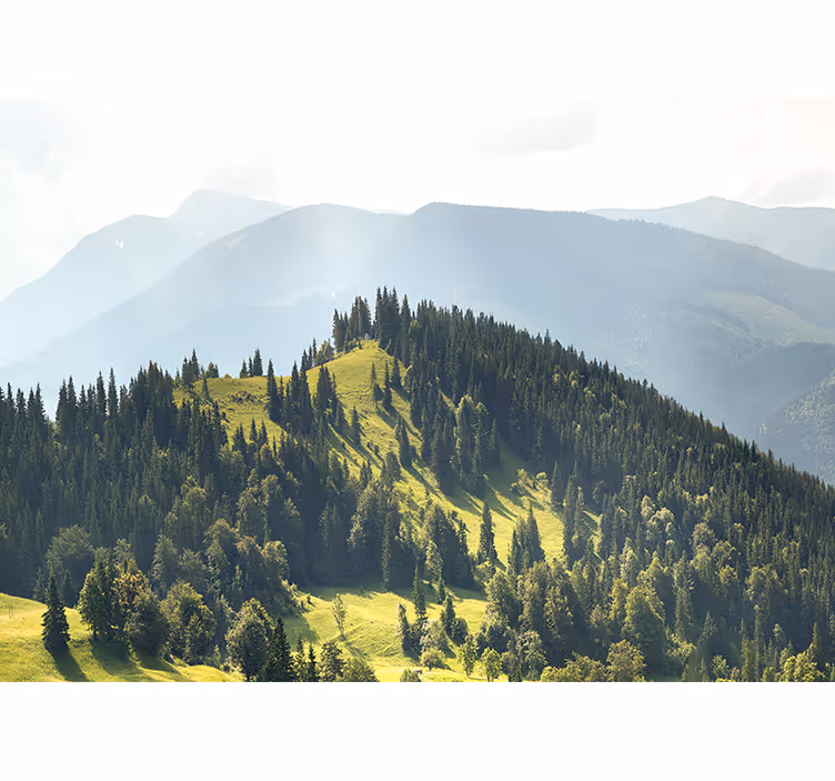 Tapisserie paysage forêt de montagne - TenStickers