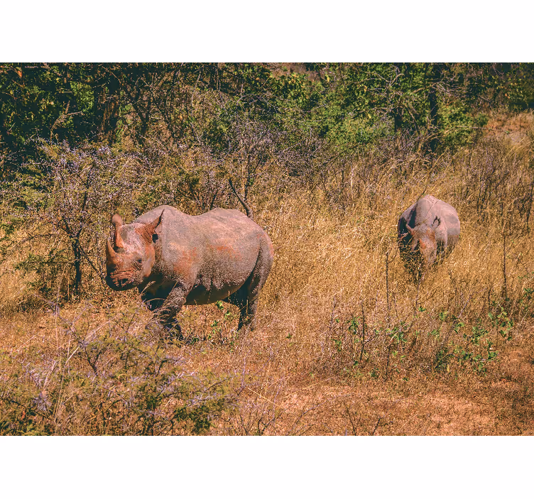 Tapisserie animaux rhinocéros dans la savane - TenStickers