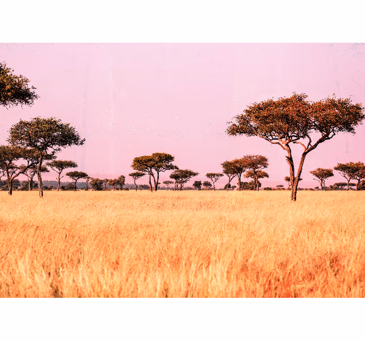 Tapisserie paysage savane sereine - TenStickers