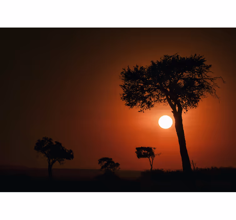 Tapisserie paysage scène de coucher de soleil en silhouette - TenStickers
