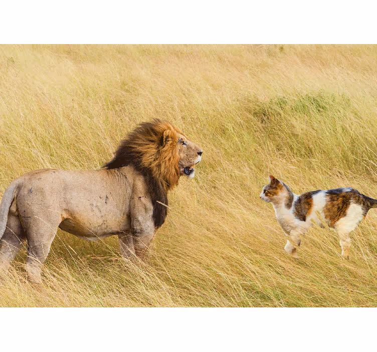 Tapisserie lion rencontre avec un chat - TenStickers