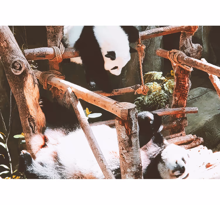 Tapisserie animaux scène de jeux de panda - TenStickers