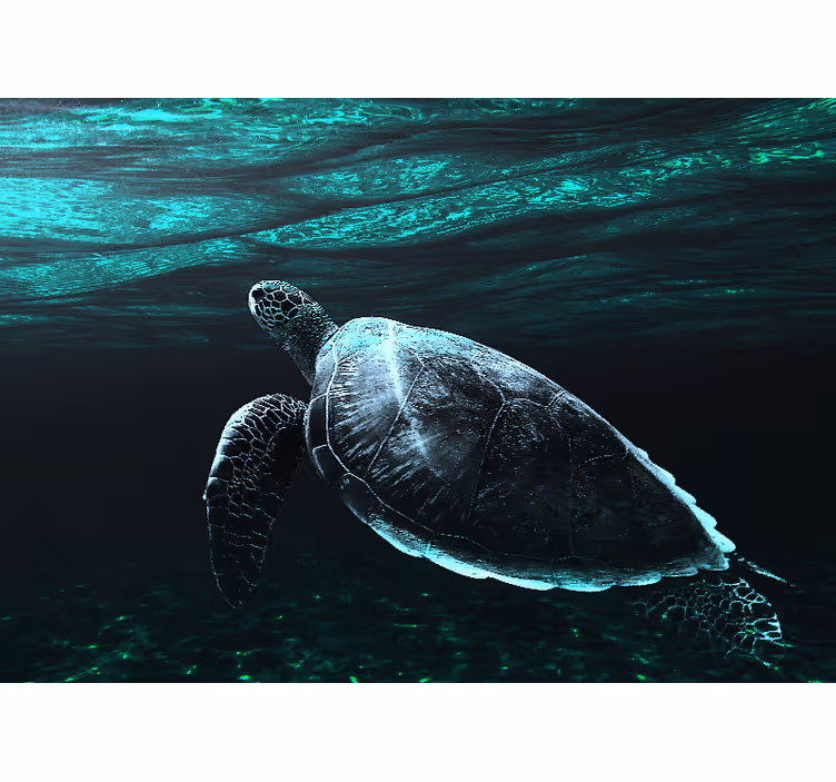 Tapisserie animaux tortue de mer majestueuse - TenStickers