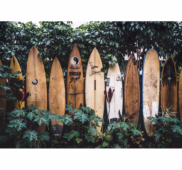 Tapisserie véhicule planches de surf exposées - TenStickers