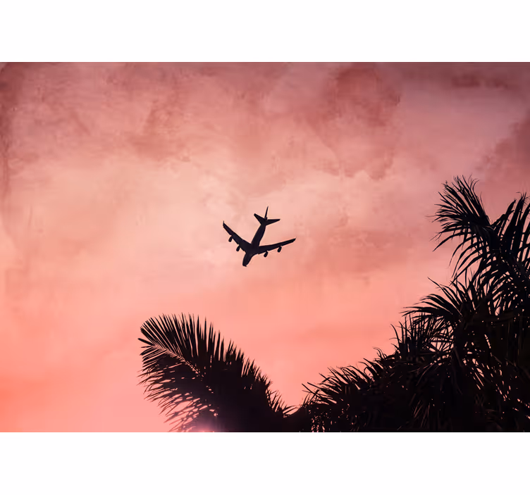 Tapisserie véhicule silhouette d'avion au crépuscule - TenStickers