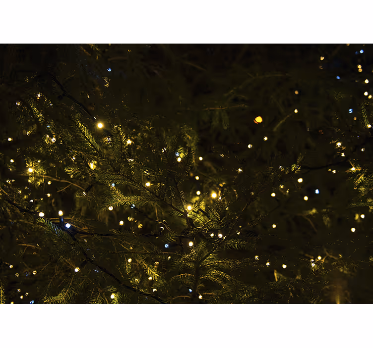 Tapisserie noel lumières de sapin festives - TenStickers