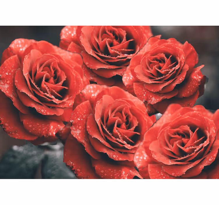 Tapisserie fleur roses cramoisies en fleurs - TenStickers