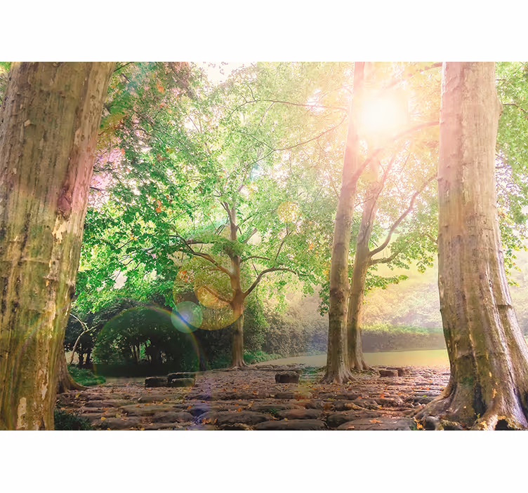 Papiers peints nature verdure luxuriante sérénité - TenStickers