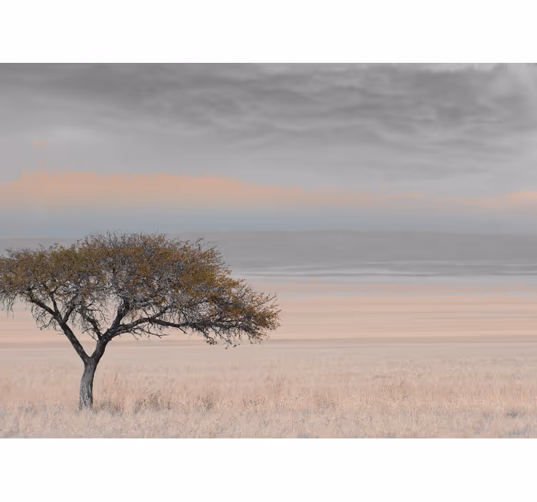 Papiers peints nature paysage d'arbre isolé - TenStickers