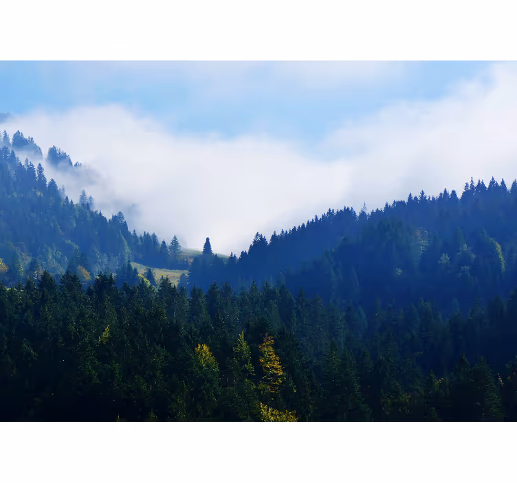Tapisserie nature montagnes et brume - TenStickers
