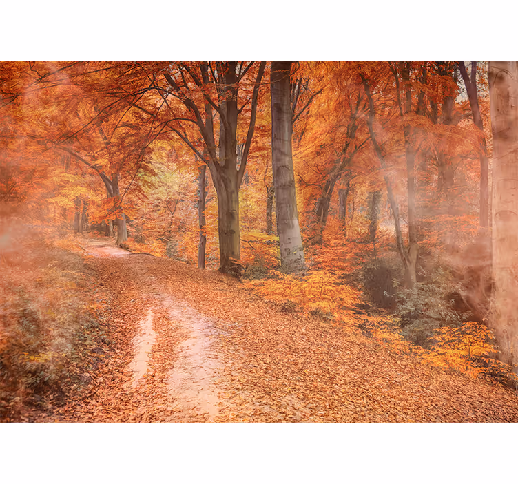 Papiers peints nature chemin d'automne - TenStickers