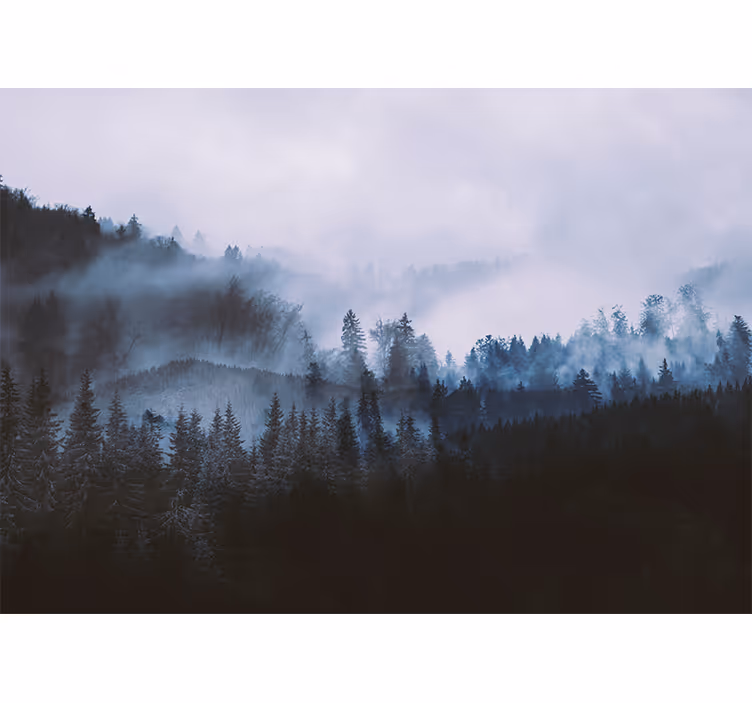 Papier peint forêt paysage de conifères brumeux - TenStickers