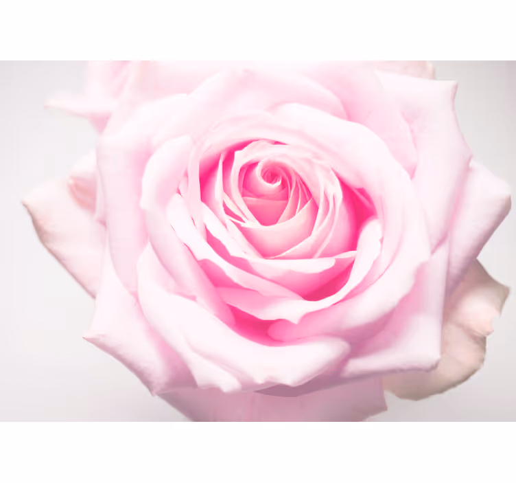 Tapisserie coquelicots rose tendre - TenStickers