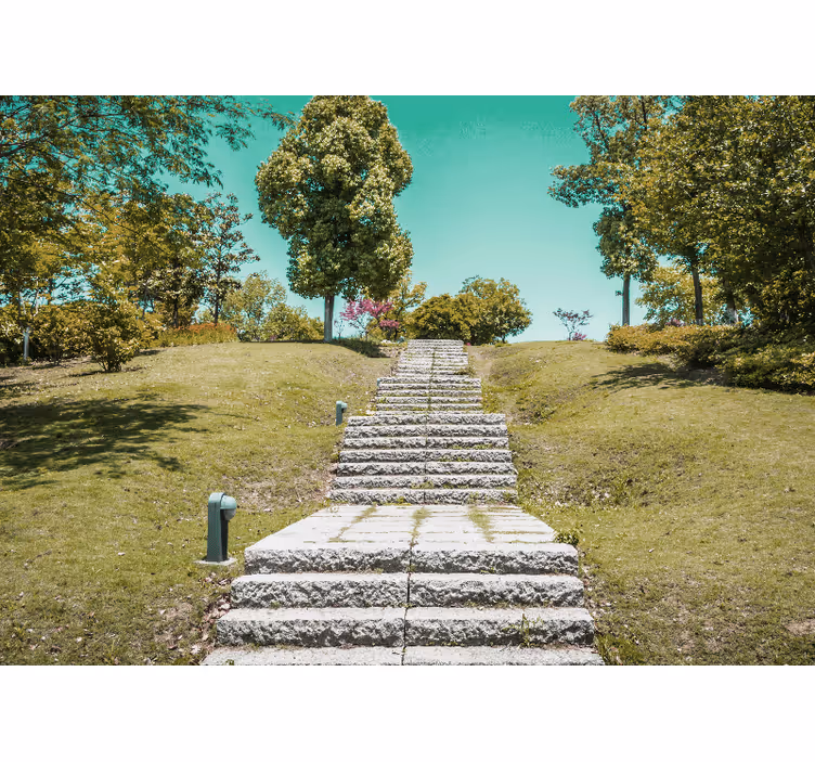 Papiers peints nature escalier à travers la nature - TenStickers