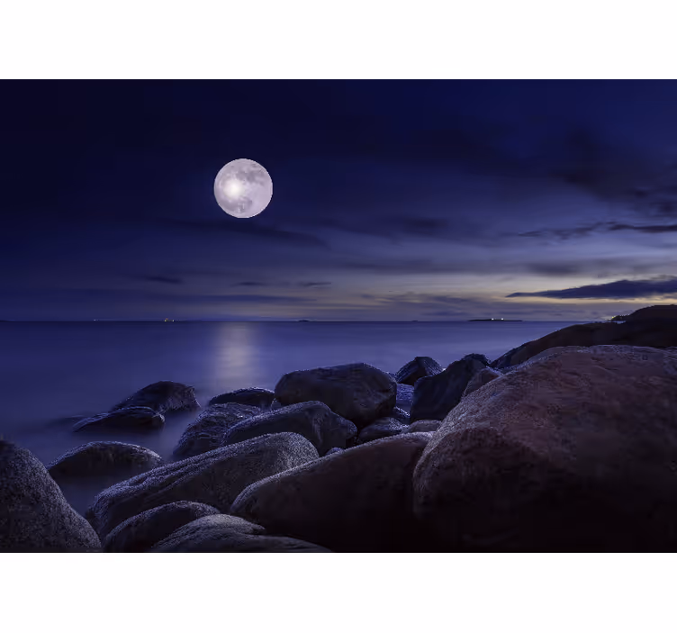 Tapisserie ciel paysage marin illuminé par la lune - TenStickers
