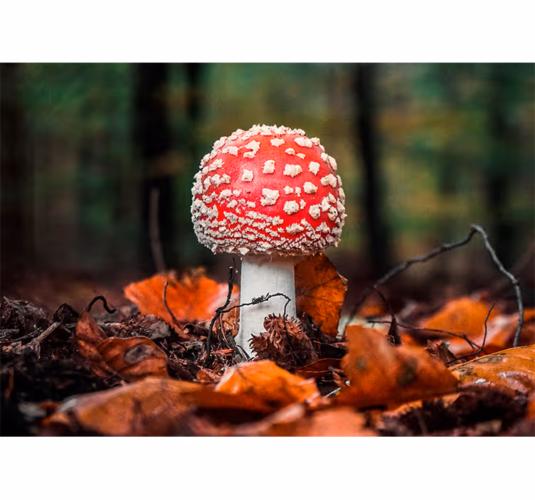Tapisserie nature champignon rouge à pois - TenStickers