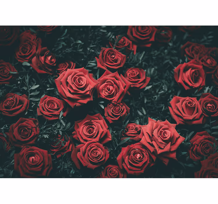 Tapisserie fleur roses rouges romantiques - TenStickers