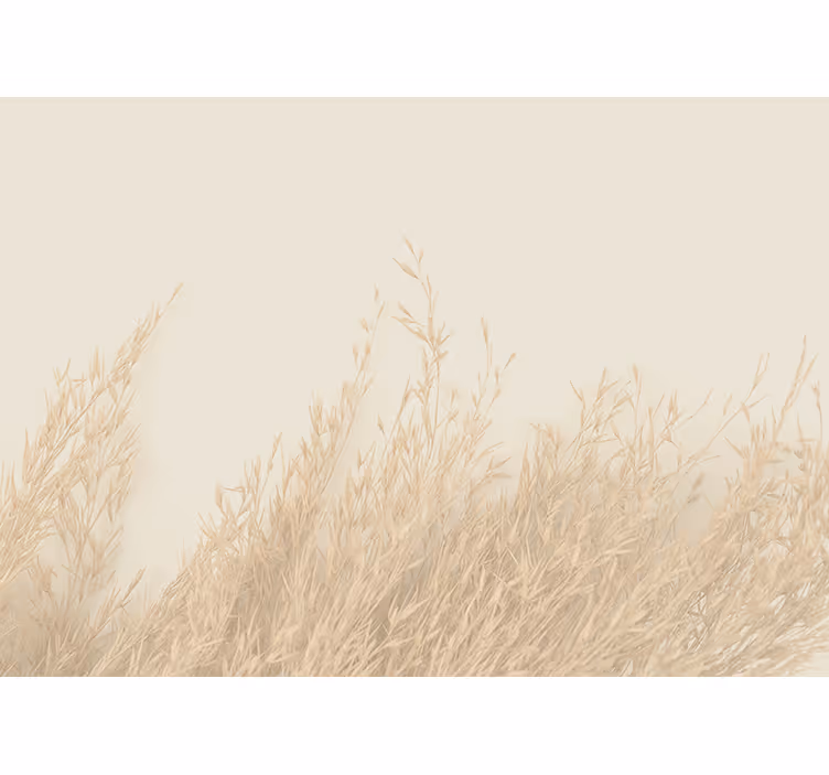 Tapisserie nature paysage d'herbe douce - TenStickers