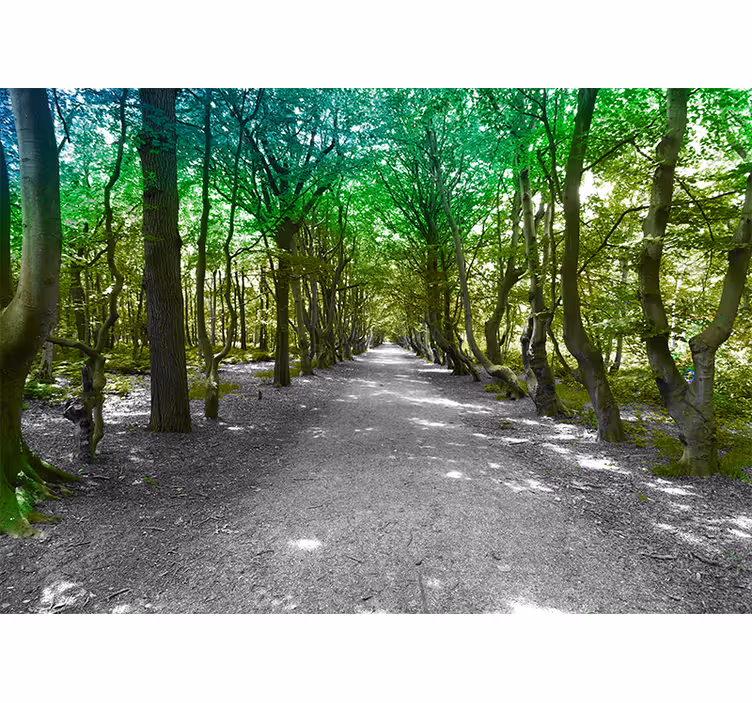 Tapisserie nature chemin d'arbres luxuriants - TenStickers