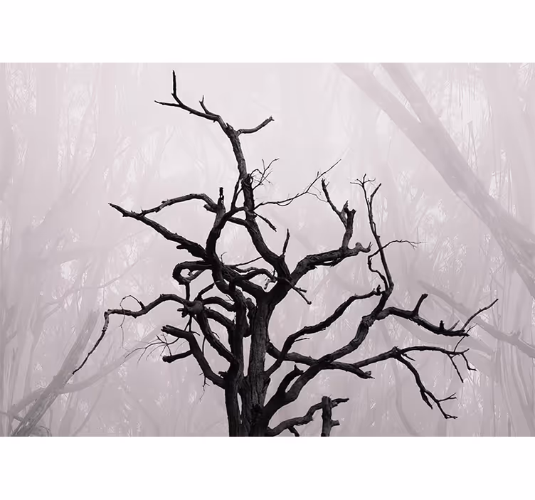Tapisserie arbre silhouette de branches délicates - TenStickers