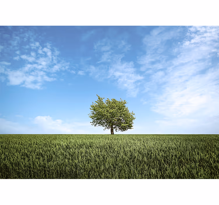 Papiers peints nature arbre solitaire en paysage - TenStickers