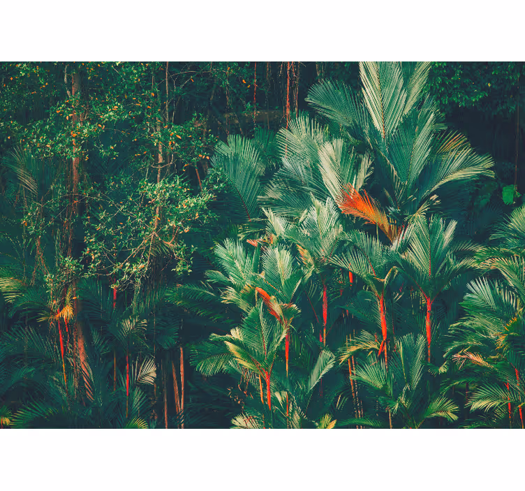Tapisserie jungle collection palmiers tropicaux - TenStickers