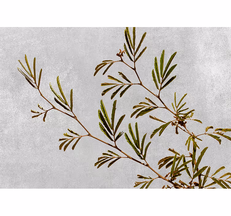 Tapisserie nature branche de verdure délicate - TenStickers