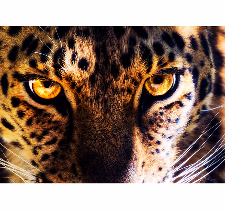 Tapisserie lion regard majestueux de léopard - TenStickers