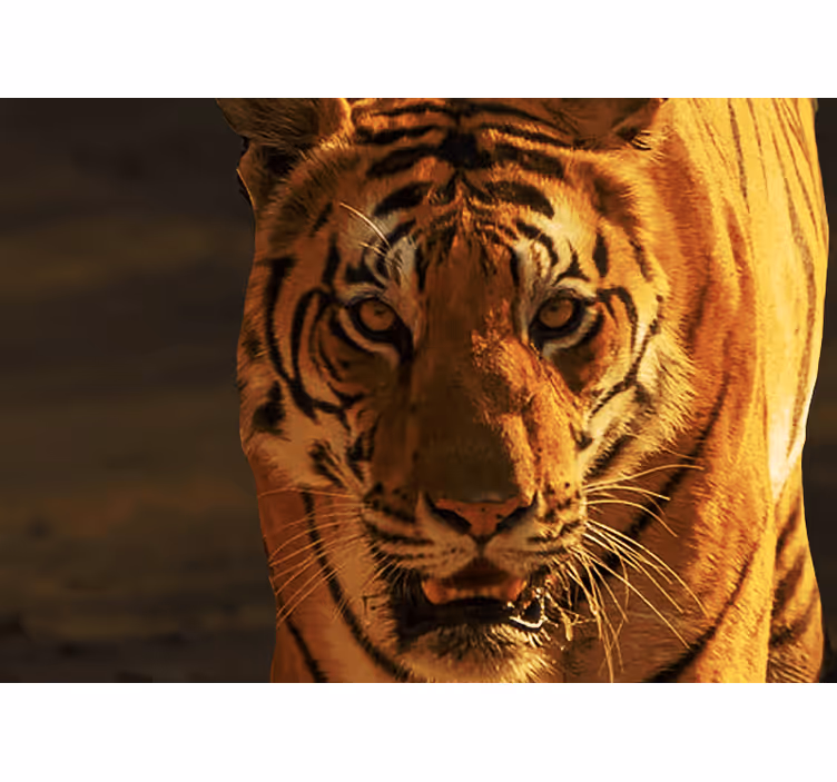 Tapisserie lion regard royal du tigre - TenStickers