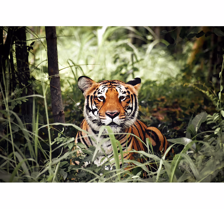Tapisserie animaux expérience du tigre royal - TenStickers