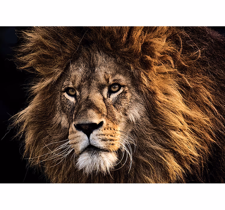 Tapisserie lion œuvre d'art majestueuse - TenStickers