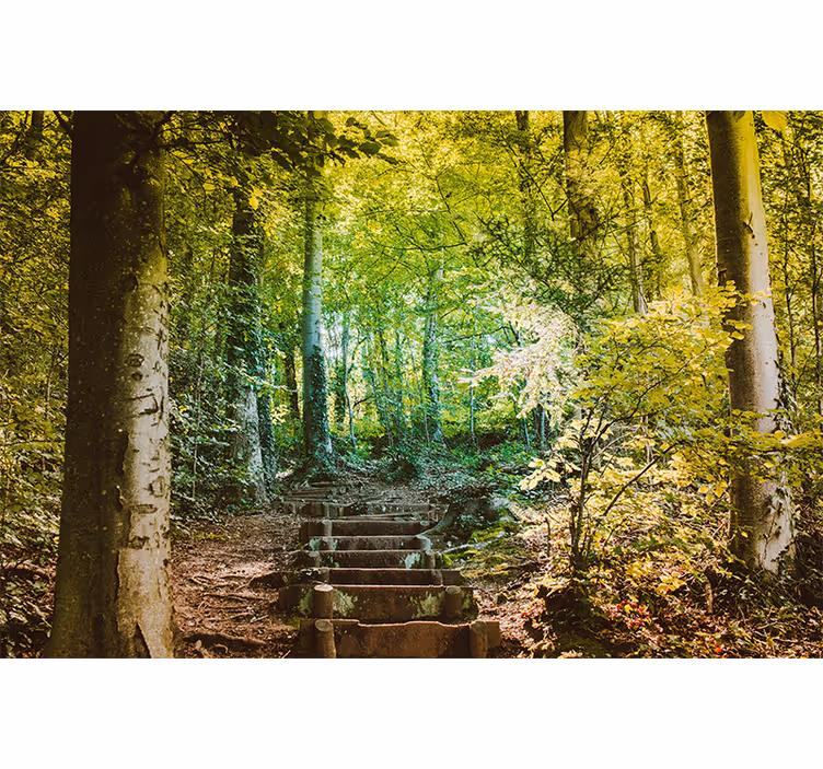 Tapisserie murale forêt chemin avec escaliers - TenStickers