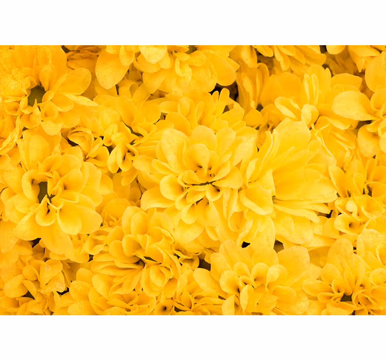 Tapisserie murale jaune pétales de fleur - TenStickers