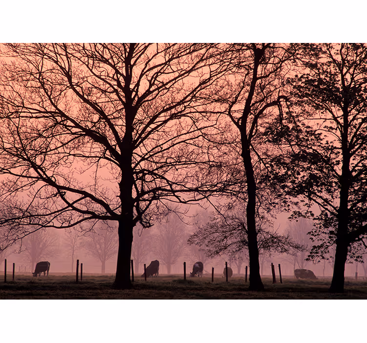 Tapisserie paysage scène d'arbres enveloppés de brouillard - TenStickers