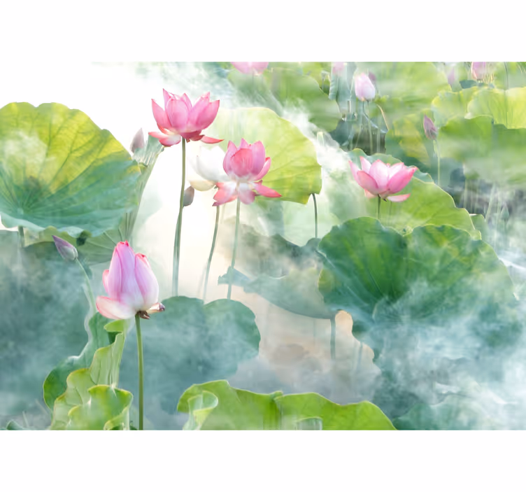 Papier peint zen fleurs de lotus paisibles - TenStickers