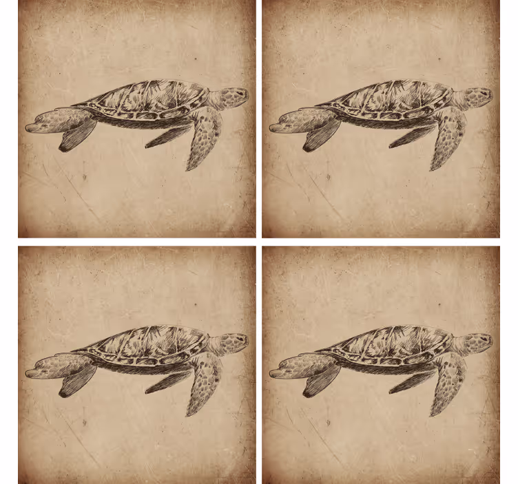 Sous-verre tortue vintage - TenStickers