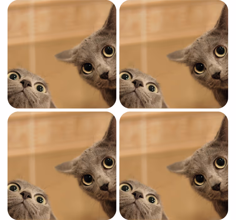 Dessous de verre geek visages de chat curieux - TenStickers