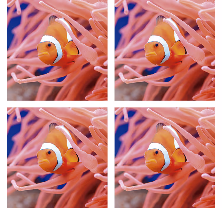 Dessous de verre moderne scène sous-marine de clownfish - TenStickers