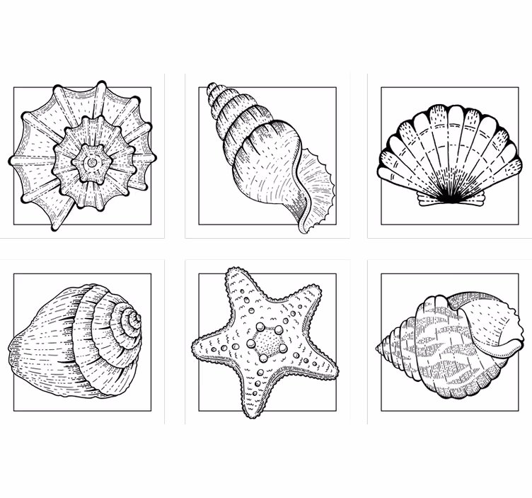 Dessous de verre motifs de coquillages complexes - TenStickers