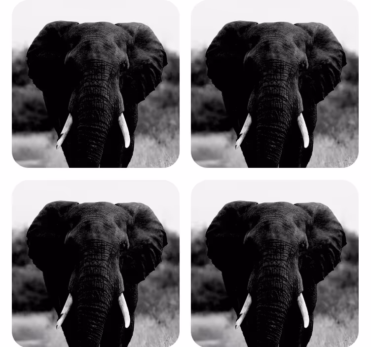 Dessous de verre vintage portraits d'éléphants monochromes - TenStickers