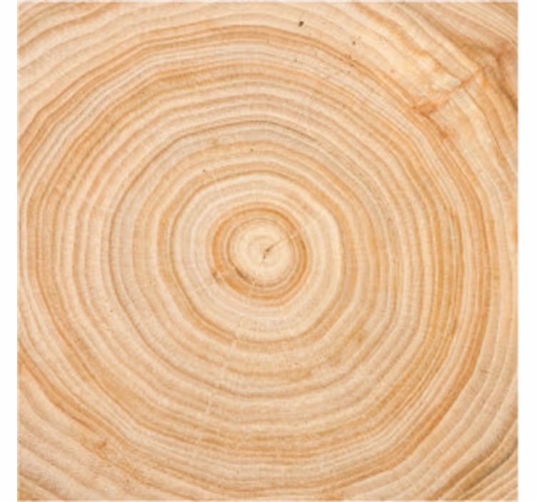 Dessous de verre Arbre motif en bois circulaire - TenStickers
