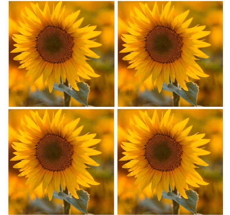 Dessous de verre moderne arrangement de tournesols vibrant - TenStickers