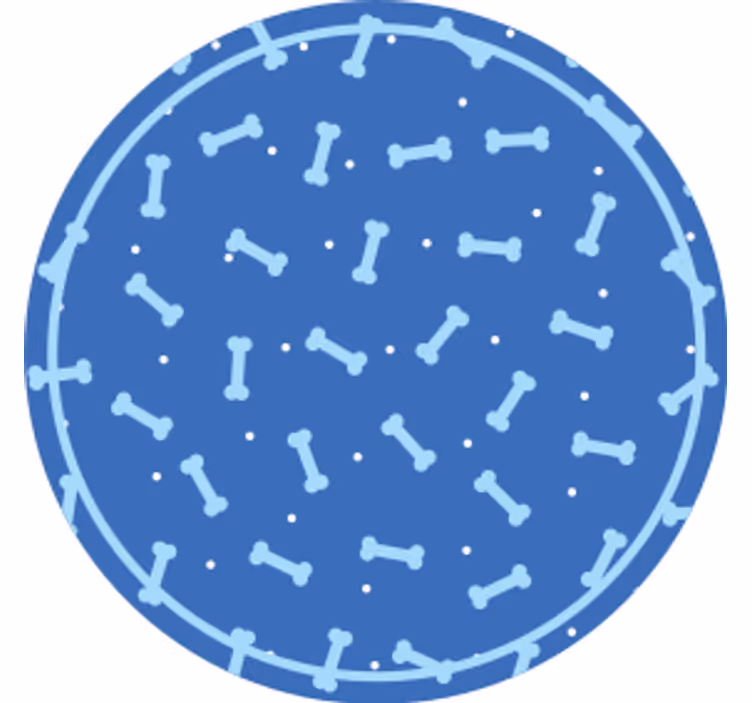 Dessous de verre motif os en cercle - TenStickers