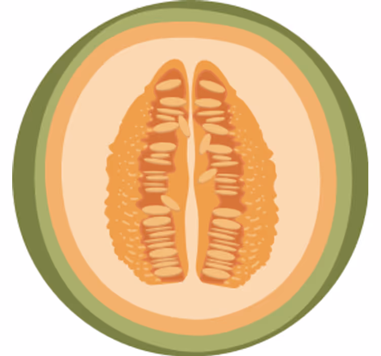 Dessous de verre geek motifs de tranches de fruits - TenStickers