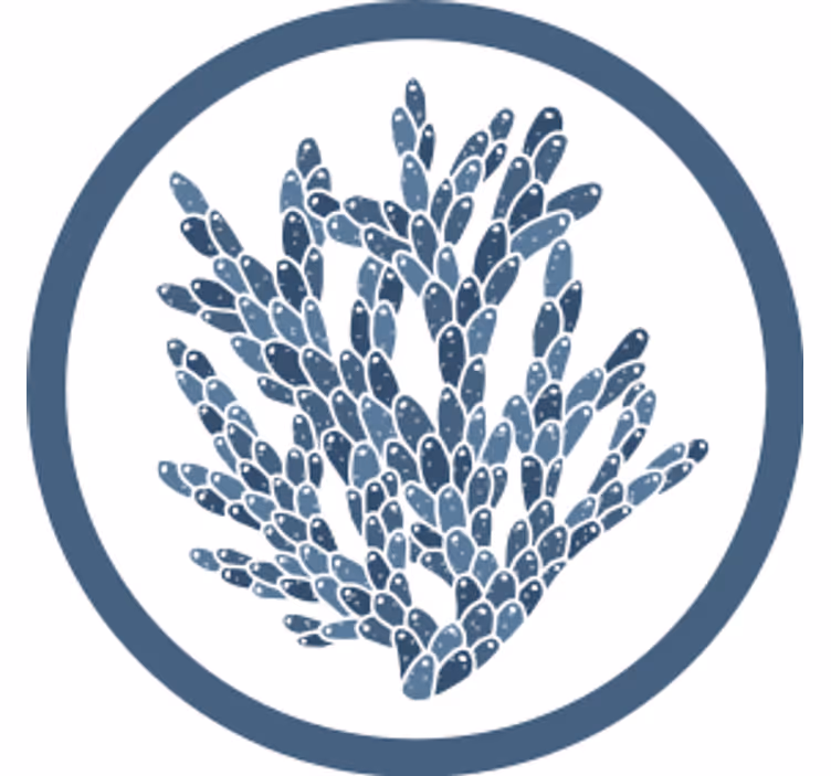 Dessous de verre motif corail abstrait - TenStickers