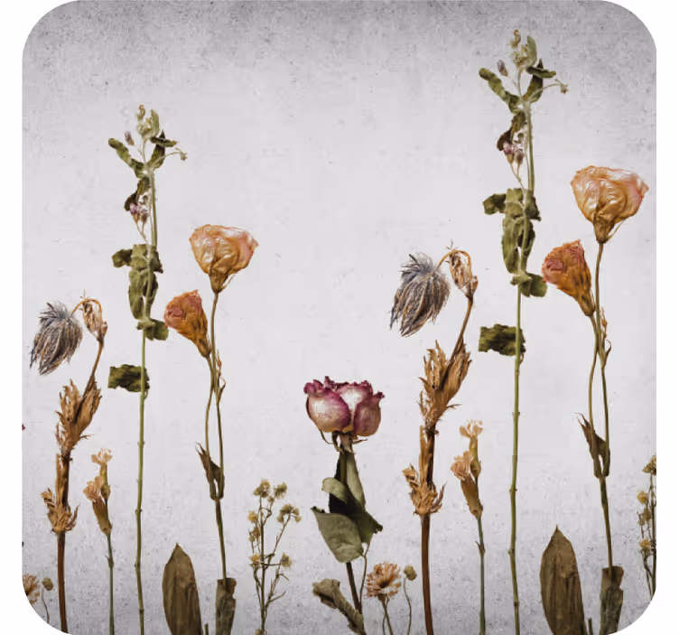 Dessous de verre arrangement floral séché - TenStickers